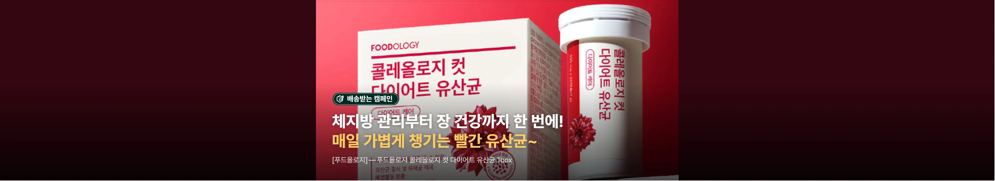 https://dq-files.gcdn.ntruss.com/banner/01a0c327-cc80-75bc-b07f-64170716d65b.webp