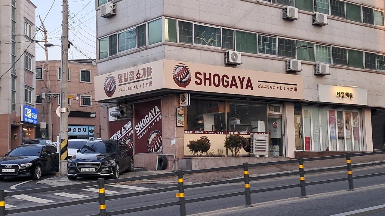 [대전 서구][릴스] 쇼가야 이미지