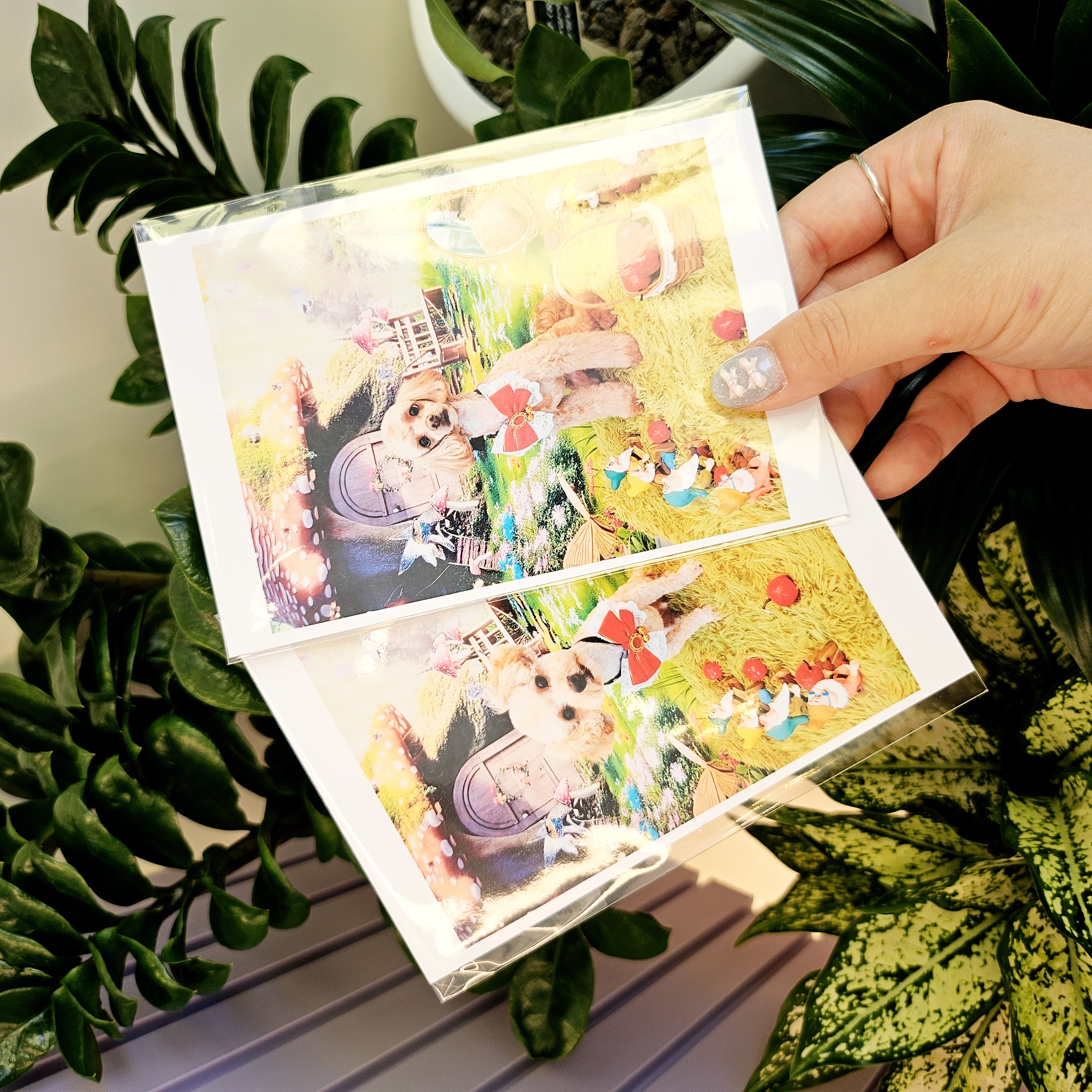 taste_card_img