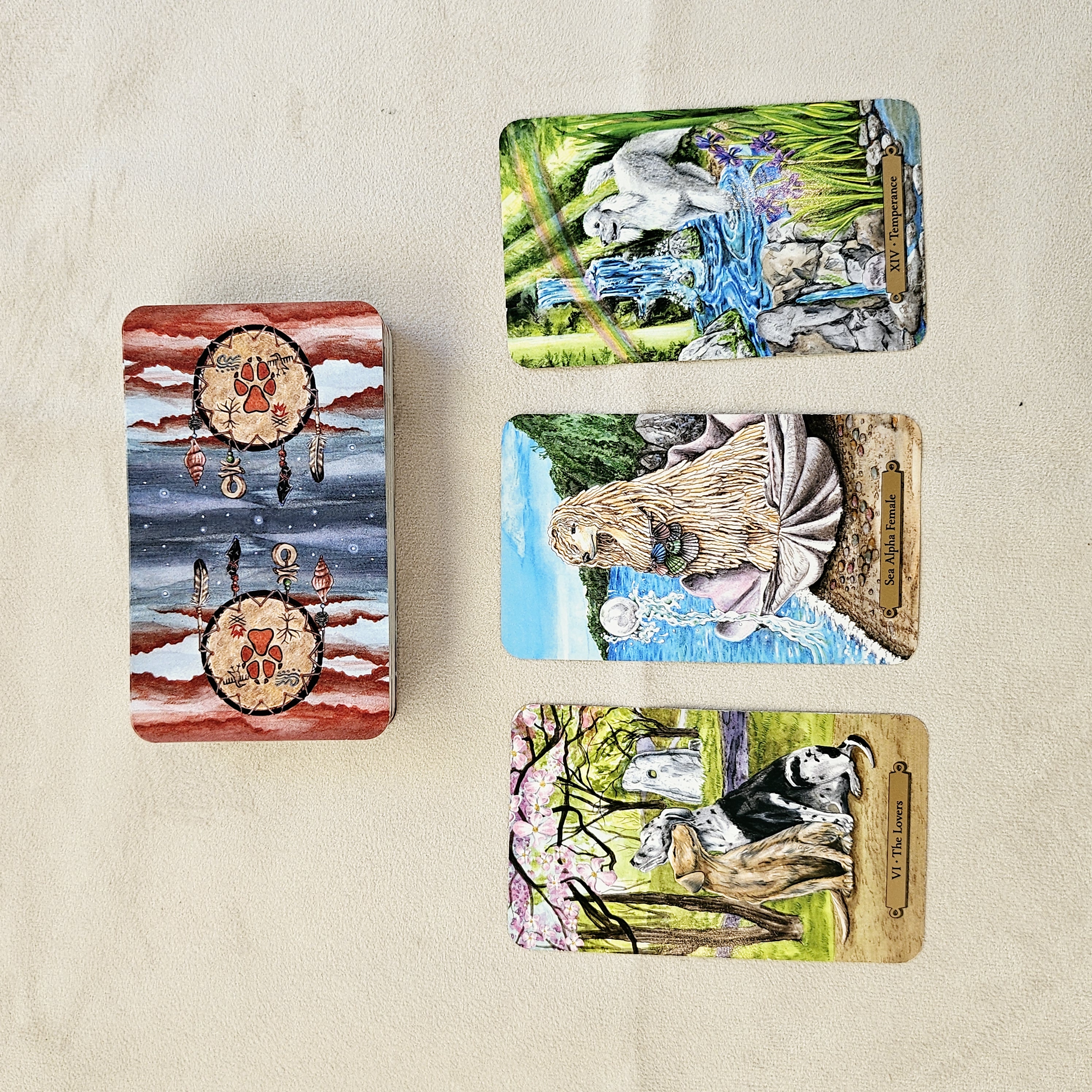 taste_card_img