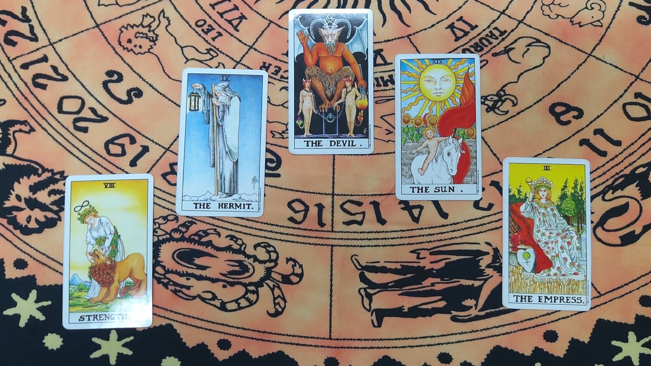 taste_card_img