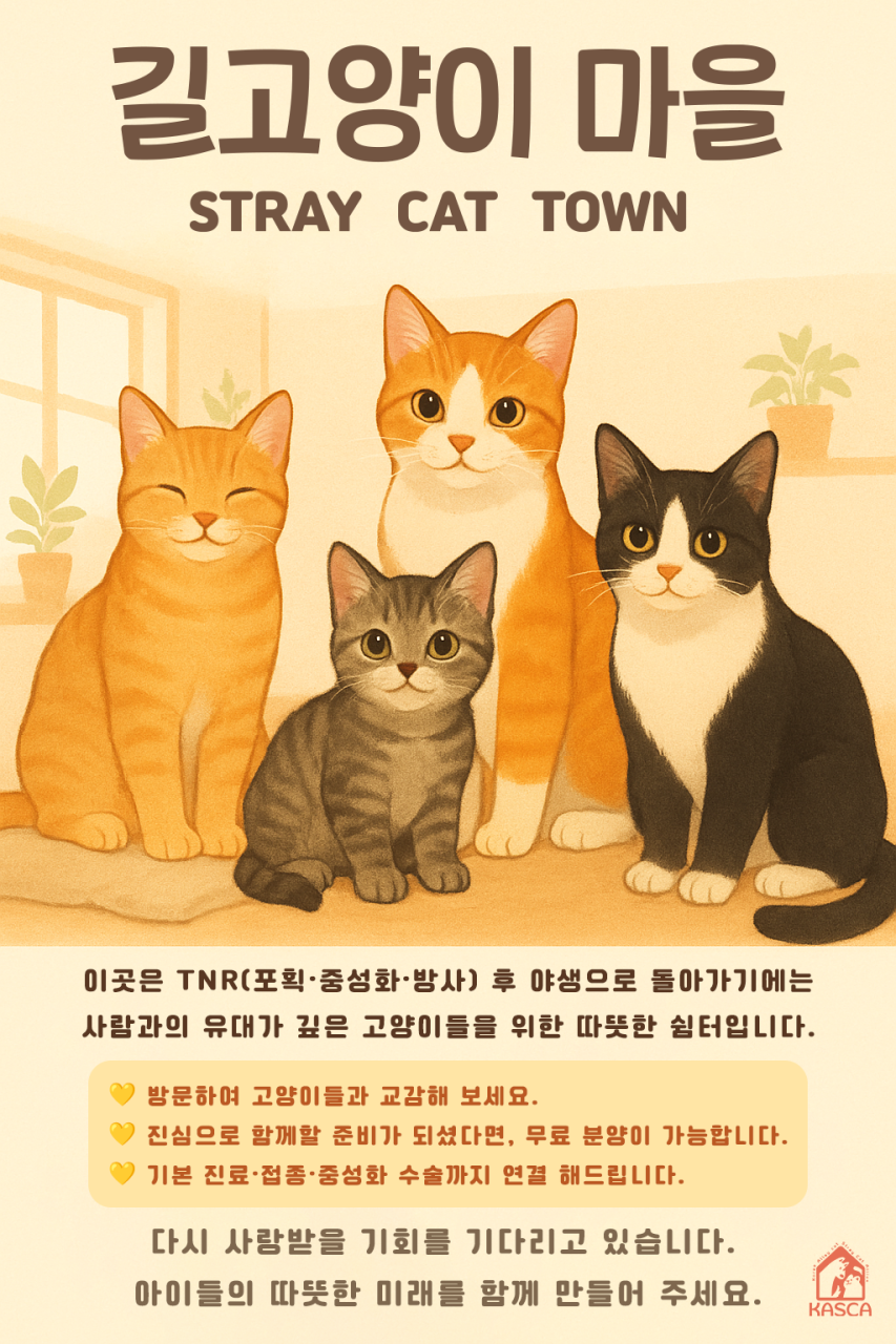taste_card_img