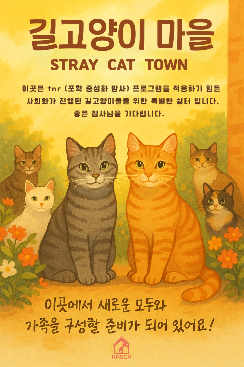taste_card_img