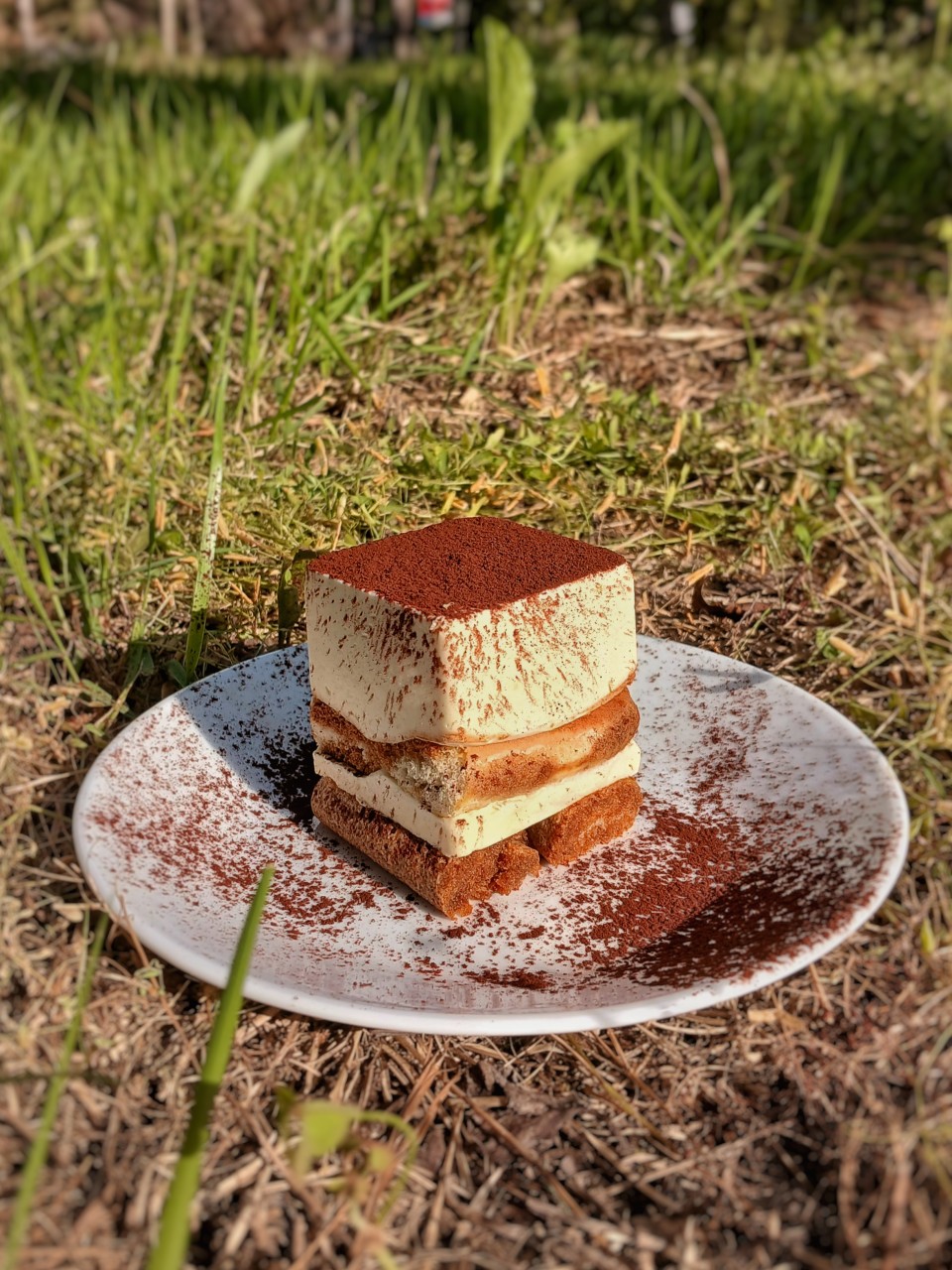 taste_card_img