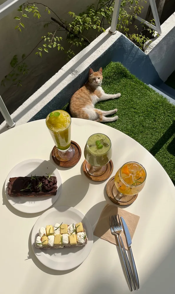 taste_card_img