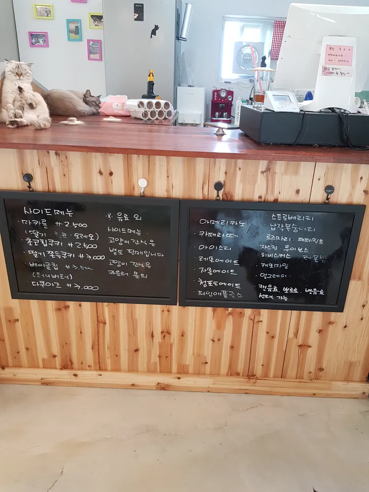 taste_card_img