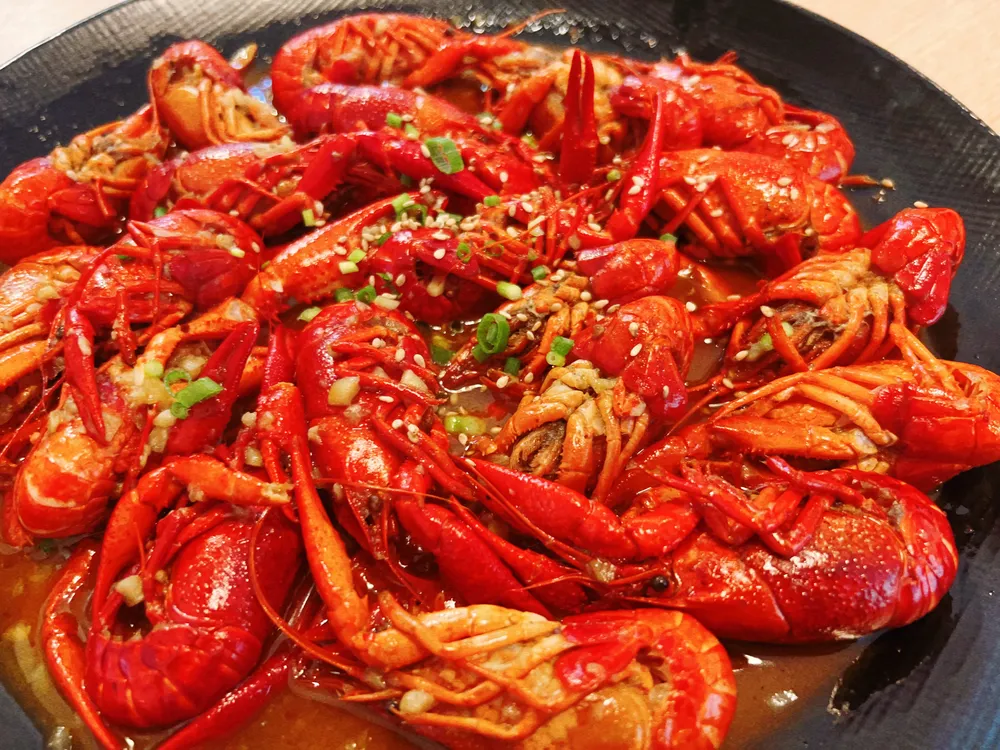 [인천 서구][릴스] 한중낮밥밤술 이미지