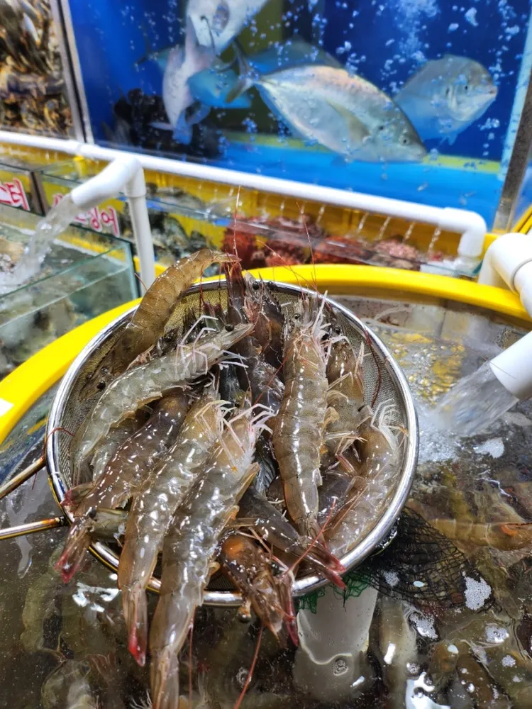 [서울 송파][릴스] 영흥수산 이미지