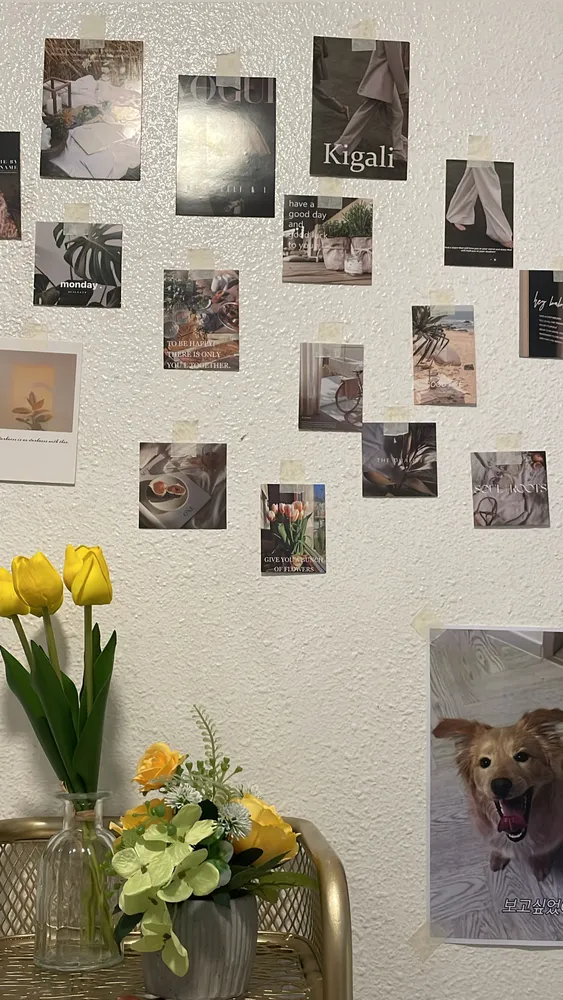 taste_card_img