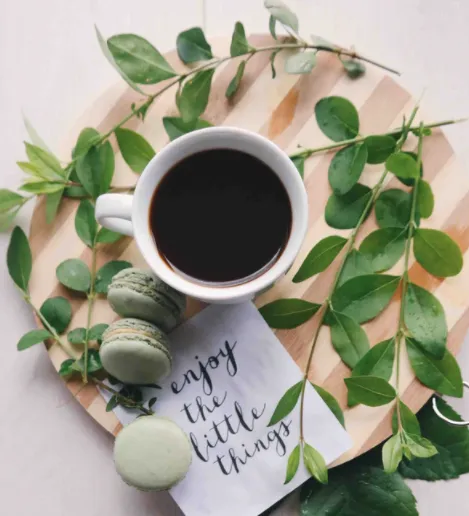 [전북 김제][릴스] 뜰안에서