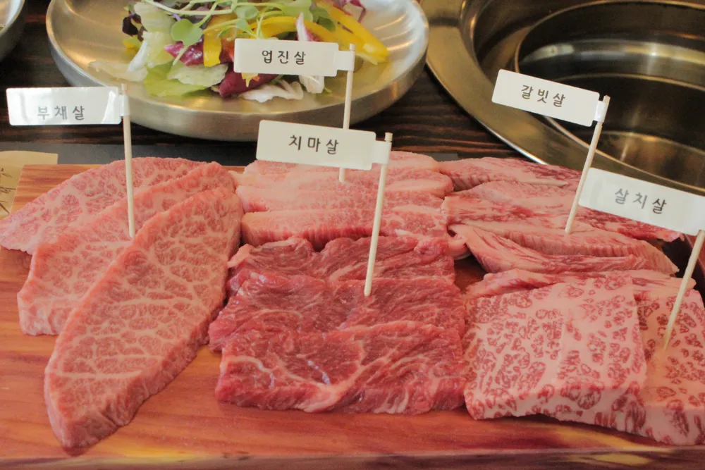 [충북 충주][클립] 우하하 3차