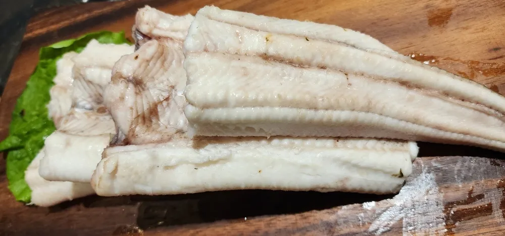 [경북 포항][클립] 포항영일대바다장어