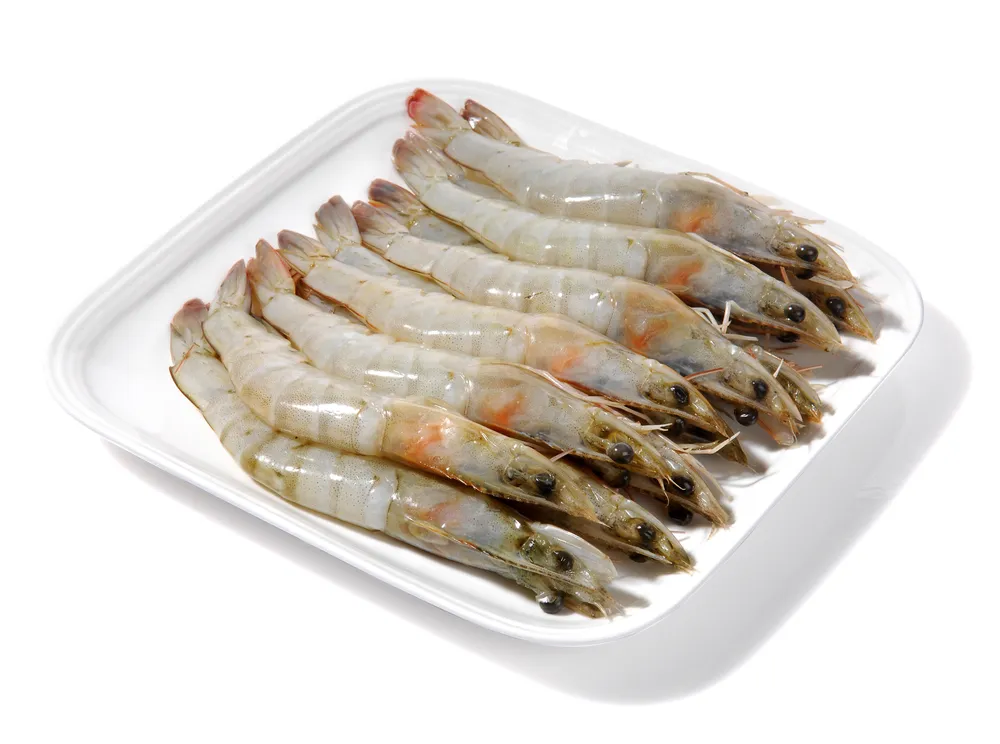 taste_card_img
