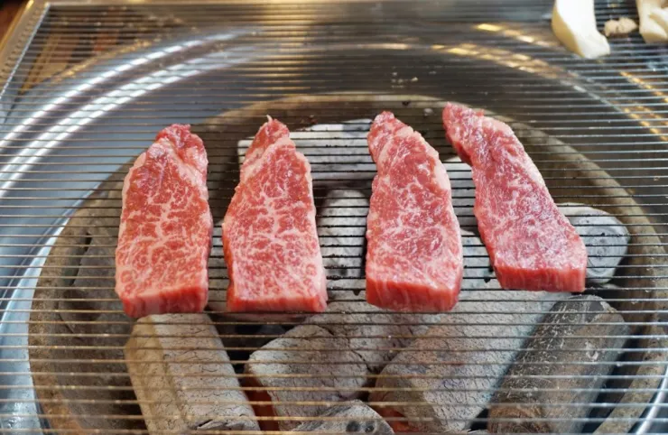 건장한우