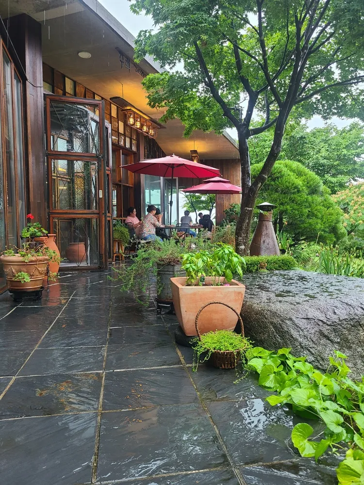 [강원 강릉][릴스] 테루아르 1차