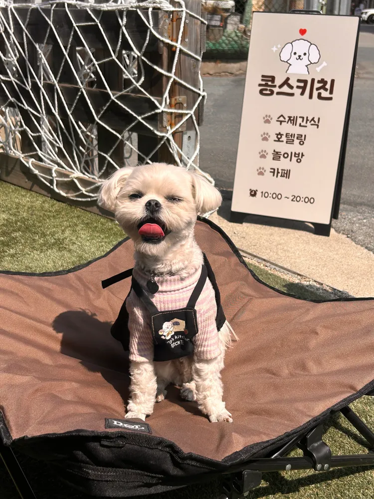 taste_card_img