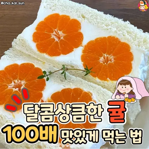 [겨울은 귤의 계절!!] 귤 더 맛있게 먹는 방법 이미지