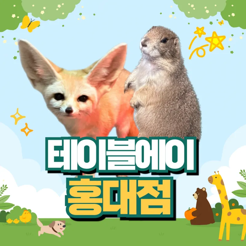 디너의여왕 - [서울 마포] 테이블에이 홍대점 1차