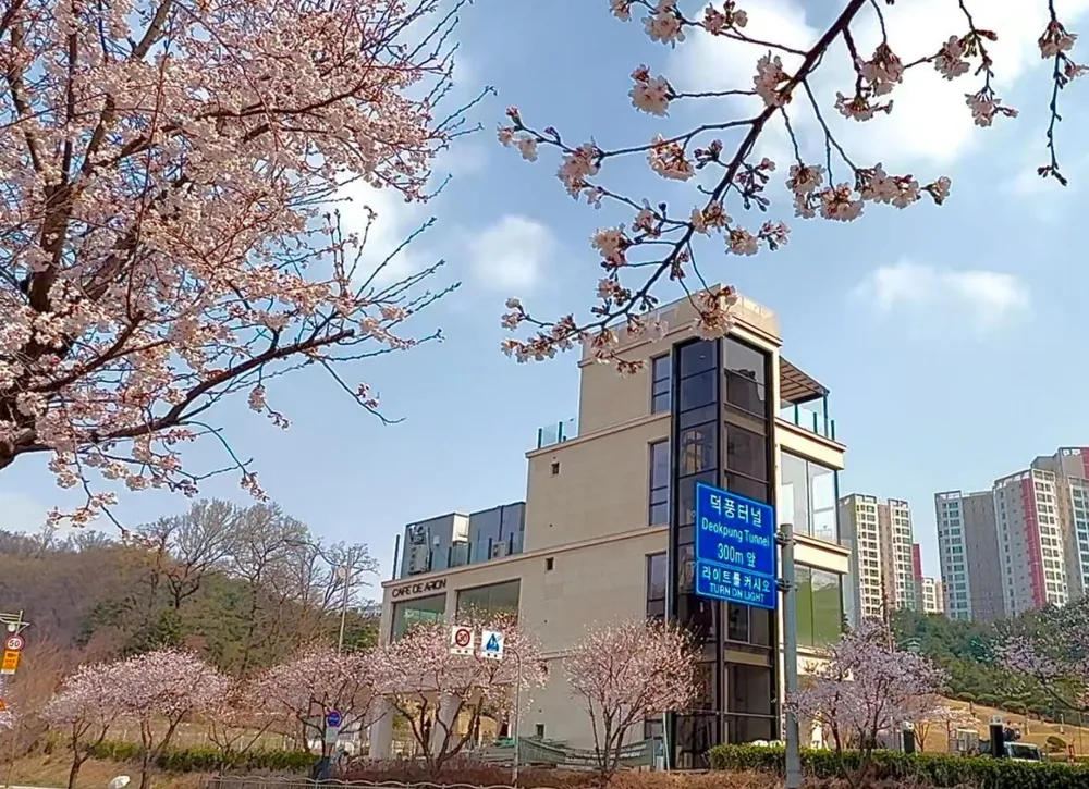 디너의여왕 - [경기 하남][릴스] 카페 아리온 23차