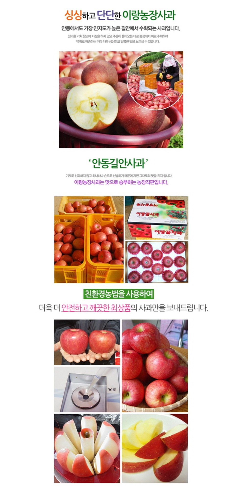 상세 이미지