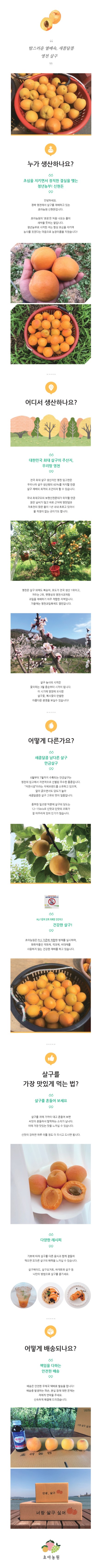 상세 이미지