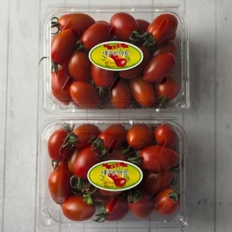 [아지트컴퍼니]대추 방울토마토 이미지