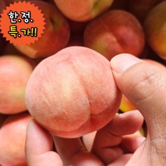 [비비드마켓] 못난이 대극천 복숭아 이미지
