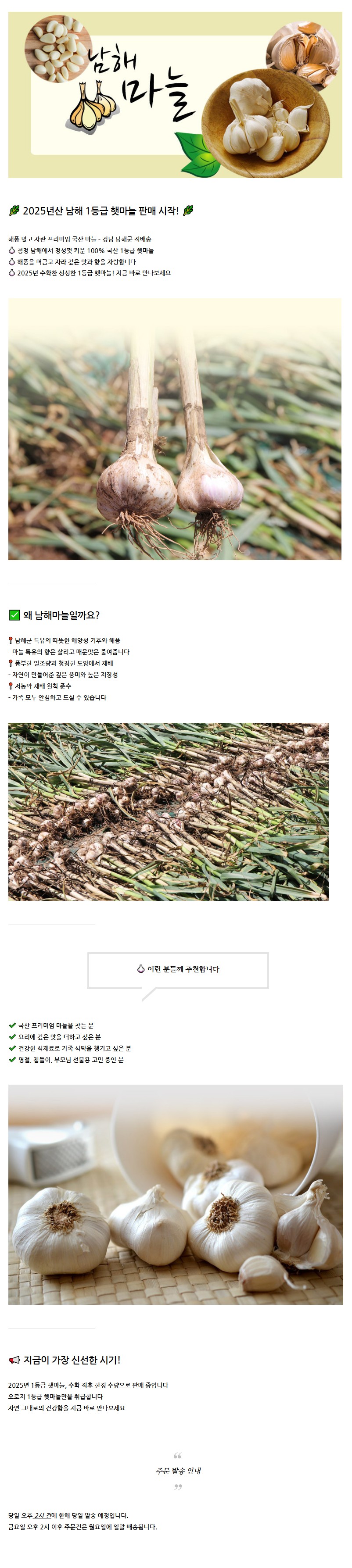 [보물섬 오빠]남해 마늘