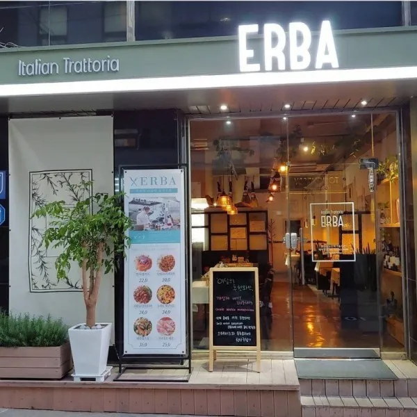 [서울 강남][릴스] 에르바 이미지