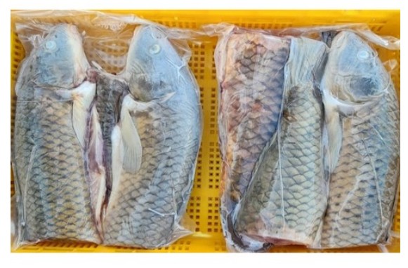 [동부수산.]  손질잉어 내장제거 3.2kg 이미지