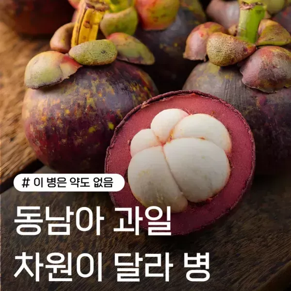 [이 병은 약도 없음 !!] 동남아 과일 차원이 달라 병 이미지