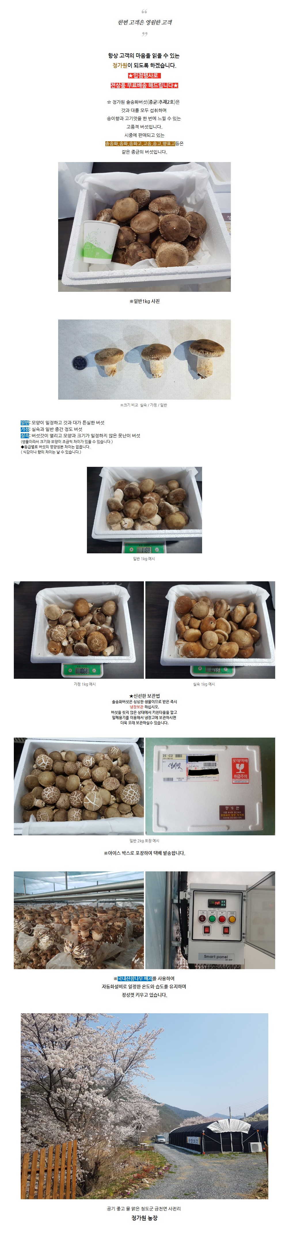 상세 이미지
