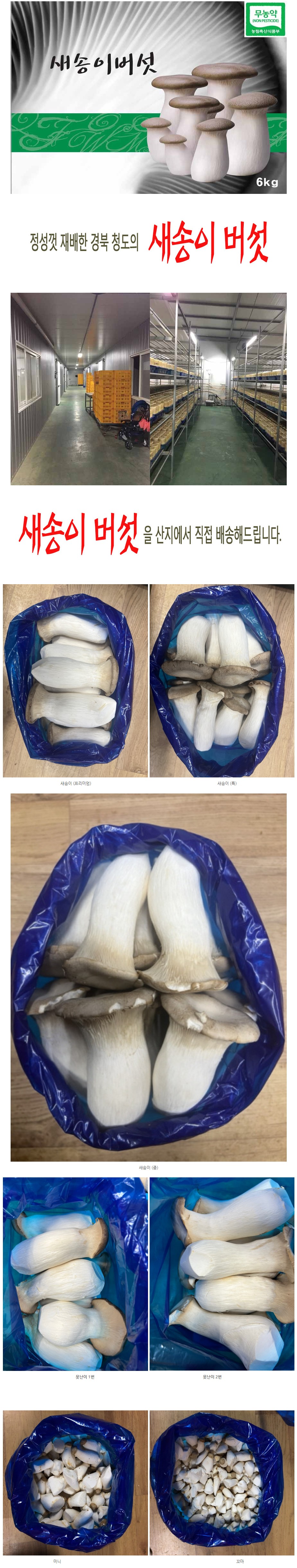 상세 이미지