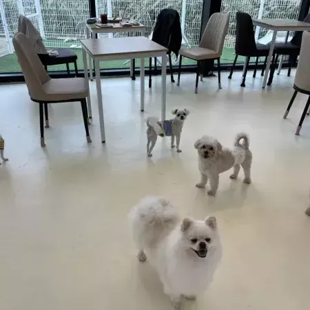 [경기 평택][릴스] 멍토피아 이미지