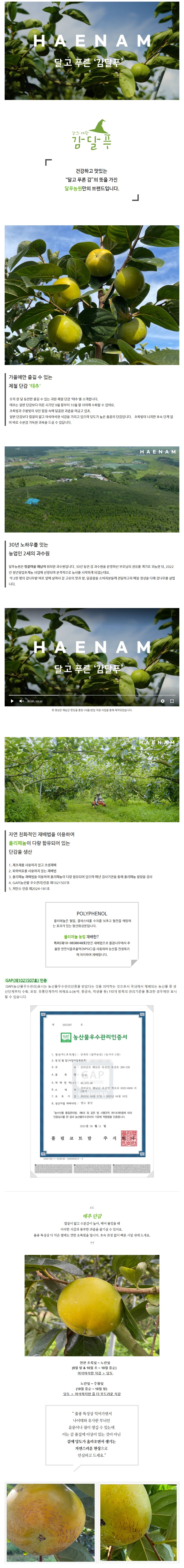 상세 이미지