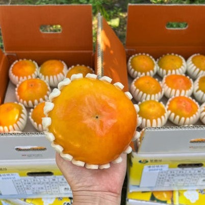 [달다농장]  진영 부유단감  이미지