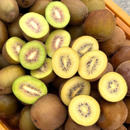 [퍼니농장] 골드키위 이미지