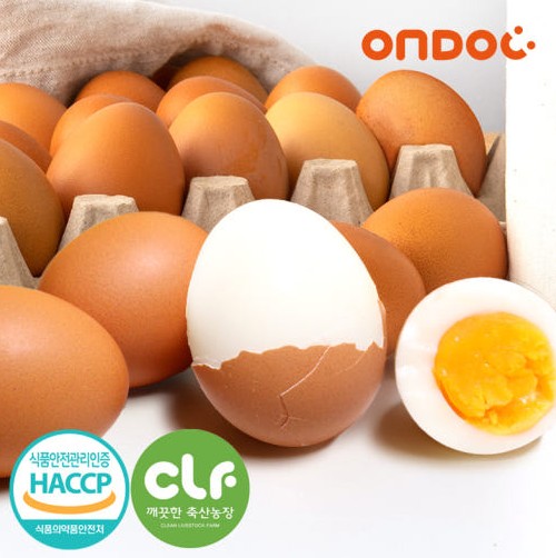 [온도씨] 촉촉한 반숙란 이미지