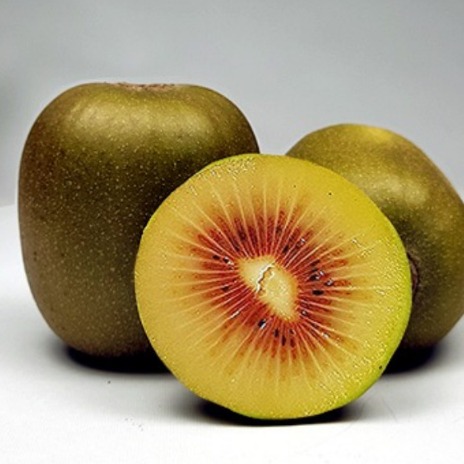 [혼디모아] 고당도 레드키위 이미지