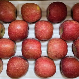 [거창한 청년] 충주 햇사과 이미지