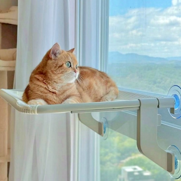 [오르펫] 고양이 해먹  캣타워 이미지