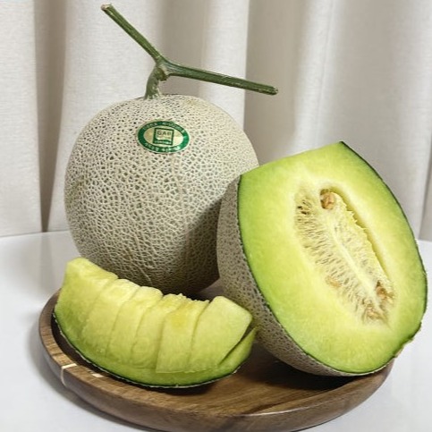 [더노랑] 세론이 멜론 이미지