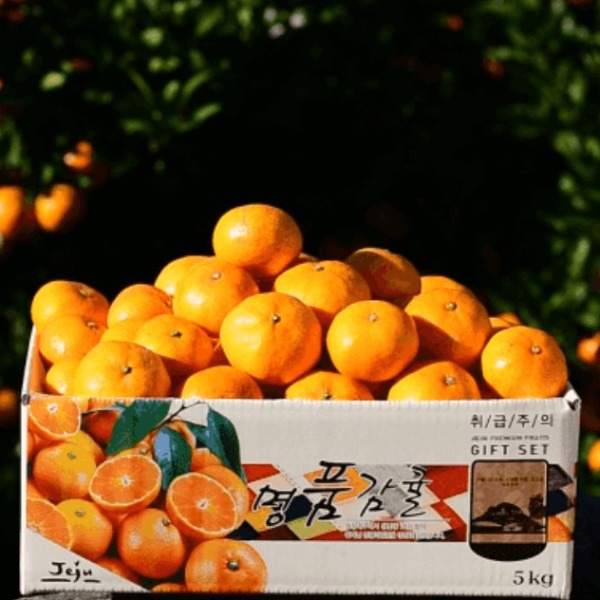 [자주올디] 타이벡 감귤 이미지