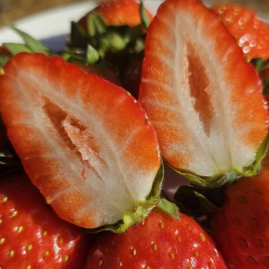 [해들마루] 설향 딸기 이미지