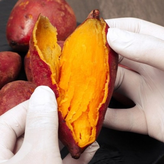 [에이지리스에비뉴] 해남 꿀 고구마