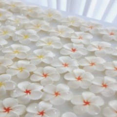 [온비다] 천연비누