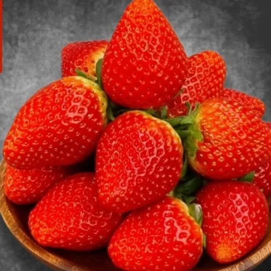 [하찌모찌스토어] 설향딸기 특과