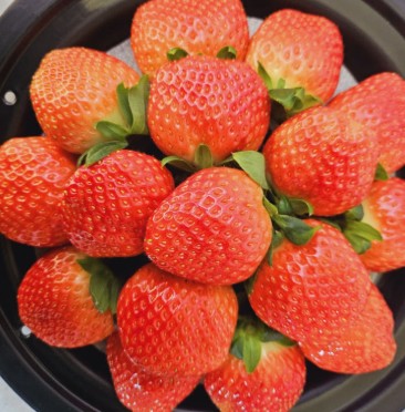 [비밀의정원사르르딸기] 딸기