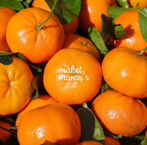 [마켓마마스] 타이벡 노지감귤 