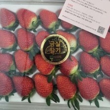 [열정딸기] 산지직송 특 설향딸기